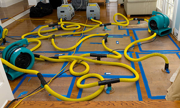 Professional Sewage Cleanup technician working in Manitou Beach, MI