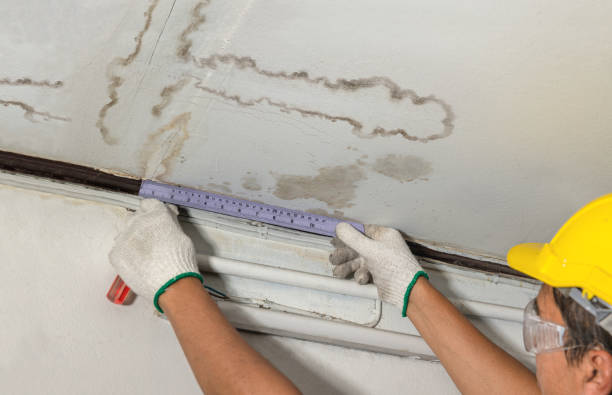 Affordable Water Damage Repair solutions in Manitou Beach, MI